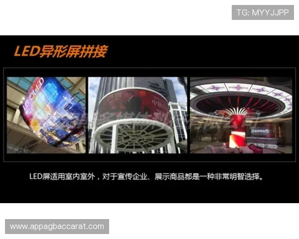 选择ag旗舰厅还是国际厅？从环境、服务到体验全方位分析帮助你做出明智决定